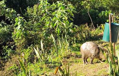 Imagem 4: Terrenos em local alto Viamão