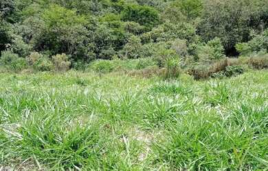 Imagem 8: Lote em condomínio em Rodovia Raposo Tavares - Sítio Boa Vista - Cotia/SP