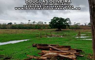 Imagem 3: Fazenda De 125 Alqueirão Ou 605 Hectares Campina Verde/MG