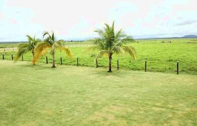 Imagem 3: Fazenda a Venda Município Santa Terezinha Mato Grosso