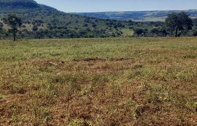 Imagem 16: FAZENDA 256 ALQUEIRES. 