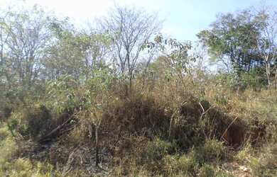 Imagem 5: Lote para venda possui 300 metros quadrados em Cachoeira - Betim - MG
