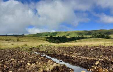 Imagem 9: Fazenda/Sítio/Chácara para venda tem 20000 metros quadrados em Esquina...