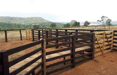 Imagem 9: FAZENDA 256 ALQUEIRES. 