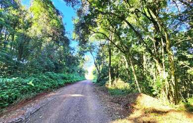 Imagem 9: Sítio / Chácara para Venda em Nova Petrópolis, Pinhal Alto