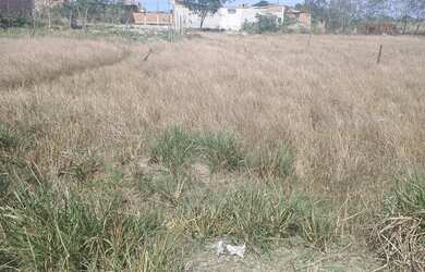 Imagem 2: Terreno em Nova Sepetiba