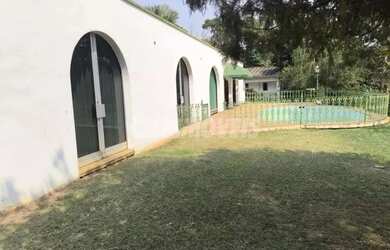 Imagem 5: área - Parque Taquaral - Campinas