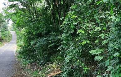 Imagem: A fazenda possui 6.456m² de Área e está localizado em Estância