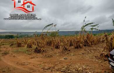 Imagem 5: Fazenda De 125 Alqueirão Ou 605 Hectares Campina Verde/MG