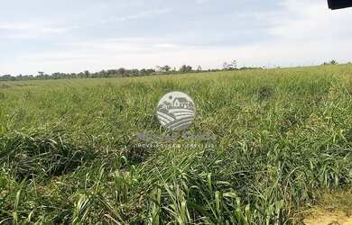 Imagem: A fazenda possui 1.700.000m² de Área e está localizado em