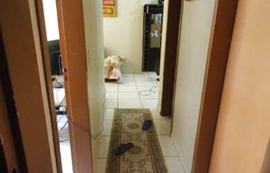 Imagem 5: São José do Rio Preto - Apartamento Padrão - Residencial Macedo Teles...