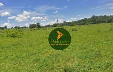 Imagem: A fazenda possui 7.937.600m² de Área e está localizado em