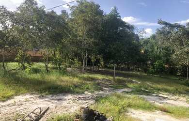 Imagem 4: Vendo terreno. 