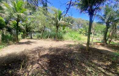 Imagem: O terreno possui 170m² de Área e está localizado em Guaratiba