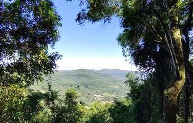 Imagem 3: Sítio / Chácara para Venda em Nova Petrópolis, Linha Olinda