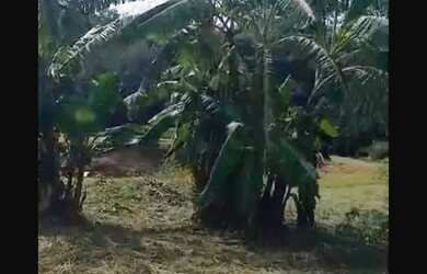 Imagem: A chácara possui 1.700m² de Área e está localizado em Cascavel