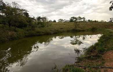 Imagem 16: Fazenda São Bento Bela Vista Goiás 32 Alqueires ou 68.5 alqueires ambos...