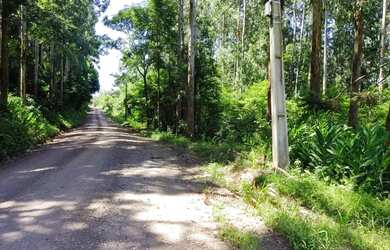 Imagem 6: Sítio / Chácara para Venda em Nova Petrópolis, Linha Brasil Fundos