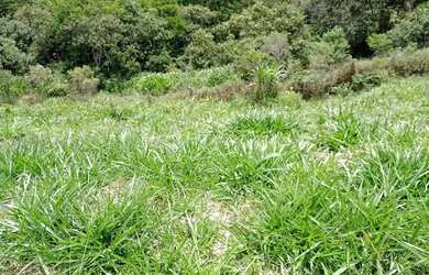 Imagem 4: Lote em condomínio em Rodovia Raposo Tavares - Sítio Boa Vista - Cotia/SP