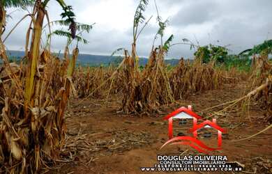 Imagem 12: Fazenda De 125 Alqueirão Ou 605 Hectares Campina Verde/MG