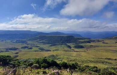 Imagem 3: Fazenda/Sítio/Chácara para venda tem 20000 metros quadrados em Esquina...