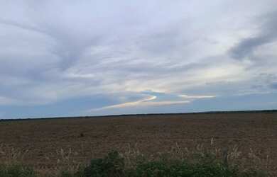Imagem 5: Fazenda a Venda Município Santa Terezinha Mato Grosso