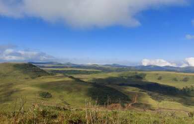 Imagem 12: Fazenda/Sítio/Chácara para venda tem 20000 metros quadrados em Esquina...