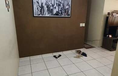 Imagem 4: São José do Rio Preto - Apartamento Padrão - Residencial Macedo Teles...