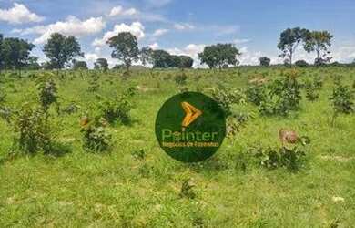 Imagem 9: Fazenda com 1 dormitório à venda, 7937600 m² por R$ 16.000.000,00 -...