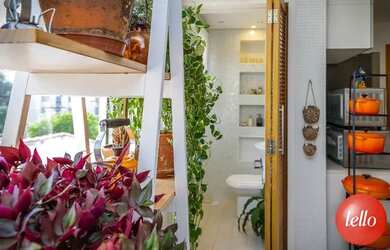 Imagem 15: São Paulo - Apartamento Padrão - Moema