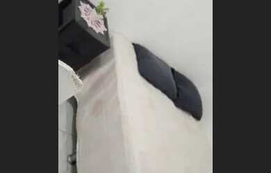 Imagem: A casa possui 1 Dormitório, 1 Banheiro e está localizado