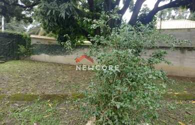 Imagem 7: Sítio em Caminho Fragoso - Guaratiba - Rio de Janeiro/RJ