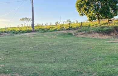 Imagem 2: Fazenda 180 hectares. 180m² de Área