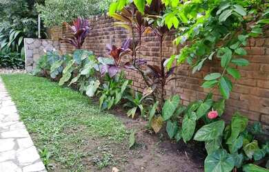 Imagem 6: Sobrado para aluguel com 104m² , 2 quartos, p pessoas sem restrição...