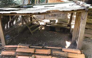 Imagem 11: Chácara 01 hectares valor 250.000 JK goias