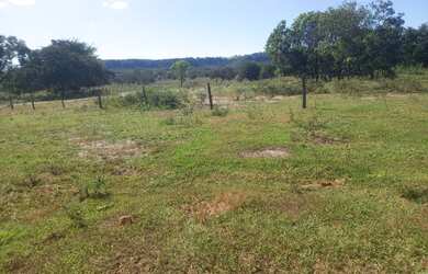 Imagem 10: FAZENDA 256 ALQUEIRES. 