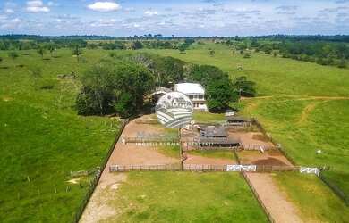 Imagem: Venda - Fazenda - Alvorada D x27 Oeste - Alvorada