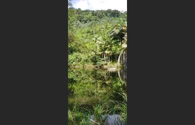 Imagem: A chácara possui 70.000m² de Área e está localizado em