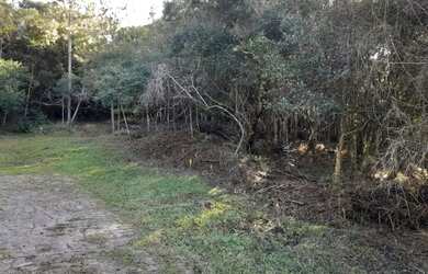 Imagem 7: CAXIAS DO SUL - Terreno Padrão - MONTE BÉRICO