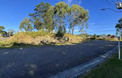 Imagem 3: TERRENO EM LOTEAMENTO JUNTO DA NATUREZA E VISTA