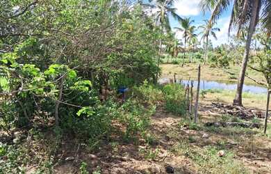 Imagem 7: Terreno Próximo à Praia e Dunas de Areia