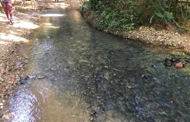 Imagem: O terreno e possui Dormitórios, Suítes, Banheiros, 1000-0m²