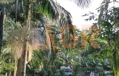 Imagem: A fazenda possui 193600m² de Área e está localizado em Antonina