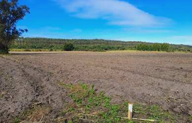 Imagem: A fazenda está localizado em Passo de Torres, SC à venda por