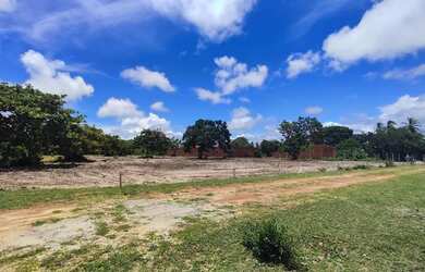 Imagem 13: Lotes Na Praia Do Presidio Ao Lado Do Resort Riviera Tamanohos 6X30 E...