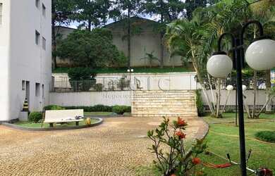 Imagem 10: SAO PAULO - Apartamento Padrão - VILA FIRMIANO PINTO