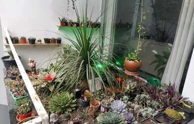 Imagem 2: Sobrado com 4 dormitórios, 289 m² - venda por R$ 999.000,00 ou aluguel...