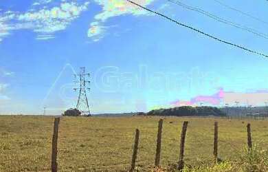 Imagem 6: área - João Aranha - Paulínia