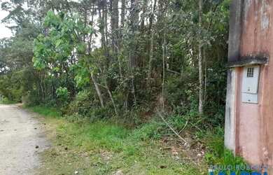 Imagem 16: AREA - INVERNADA - SP. 1.551m² de Área