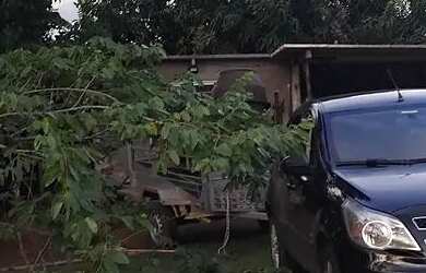 Imagem: A chácara possui 1.300m² de Área e está localizado em Cidade